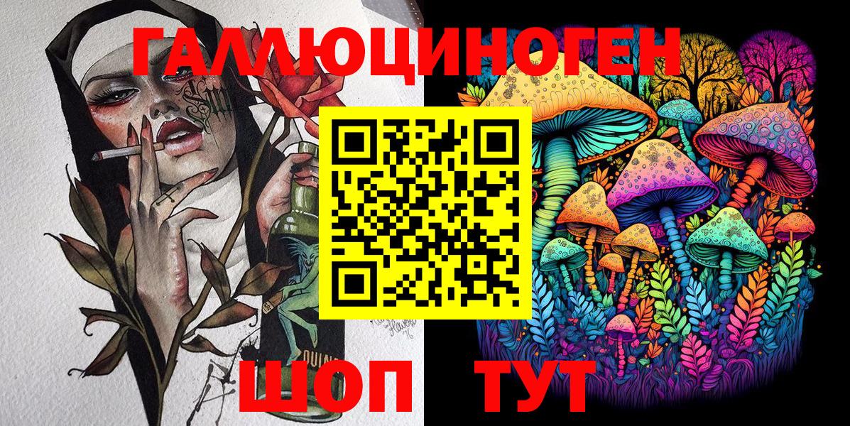 как найти закладки  Псилоцибиновые грибы Psilocybe  Вход с VPN  Камышлов 